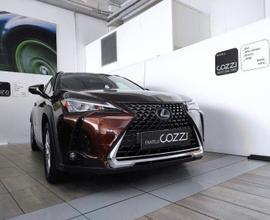 LEXUS UX - UX Hybrid Business