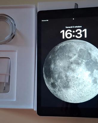 Ipad 6 Gen. 11" - 128 GB -  Cellular e Wi-Fi