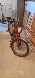 Motorino Motobecane