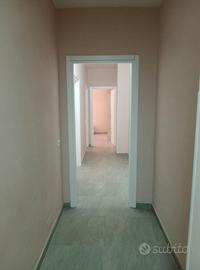 Appartamento  SAN SEVERO (Fg)