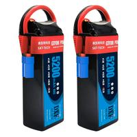 Batteria DXF lipo 6S 5200mah 80C
