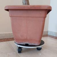 Set Carrelli Portavasi