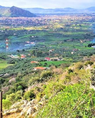 Rustico/Casale/Corte Carini [Cod. rif CNT182VRG]
