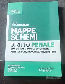 Mappe e schemi diritto penale 