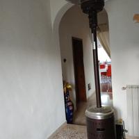 fungo da esterno 