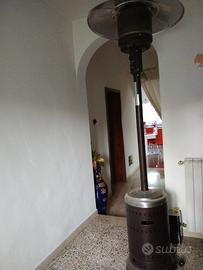 fungo da esterno 