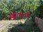 Immagine 23