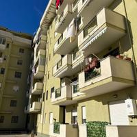 appartamento in parco con box e posto auto