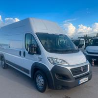 Fiat ducato maxi tetto alto