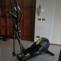 Ellittica diadora