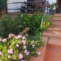 Casa indipendente