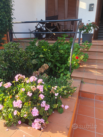 Casa indipendente