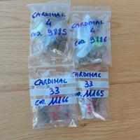 Abu Cardinal molle archetto