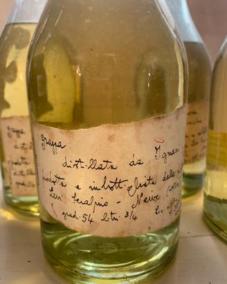 Bottiglie di grappa da collezione
