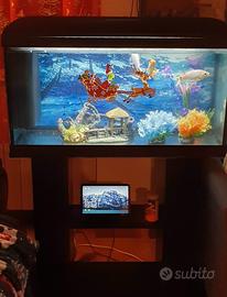 Acquario completo di mobile supporto
