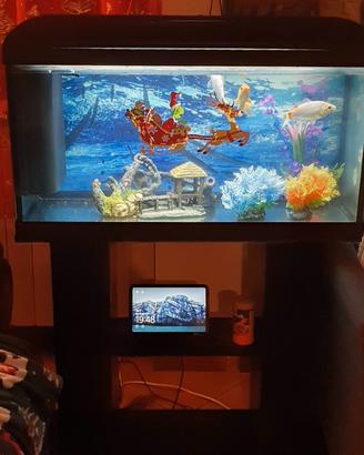 Acquario completo di mobile supporto