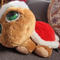 Peluche Tartaruga Occhioni