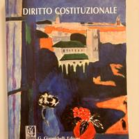 Manuale diritto costituzionale Bin - Pitruzzella