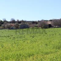 Terreno - Ragusa