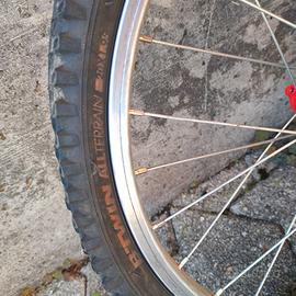 Bicicletta ragazzo