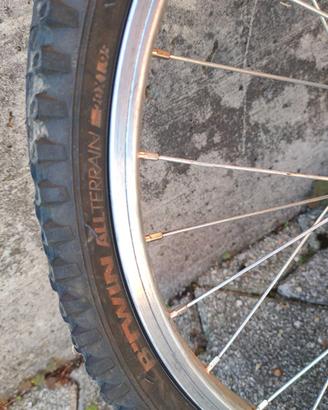 Bicicletta ragazzo