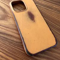 cover iPhone 13 Pro