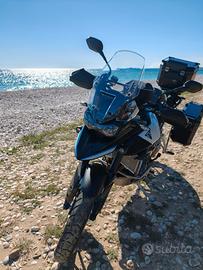 Triumph Tiger 900 GT ALPINE (2026)