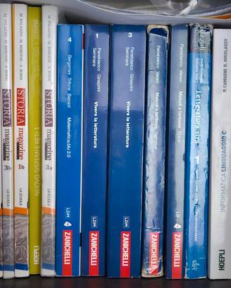 LIBRI SCUOLA SUPERIORE VARIE ANNATE