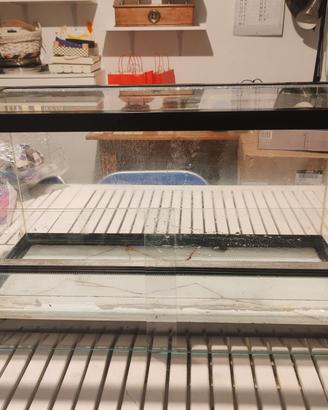 Terrario 70x40x40