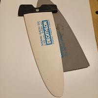pinna windsurf 