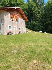 Baita Val Algone Trentino
