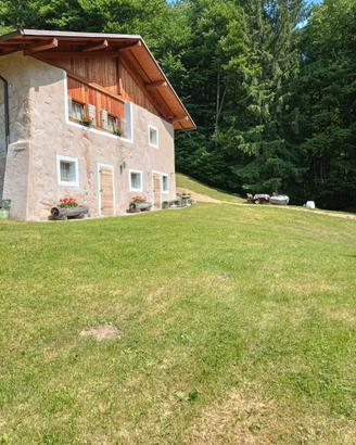 Baita Val Algone Trentino