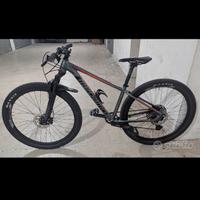 Mtb megamo 29”