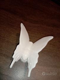 Farfalla Enzo Miccio