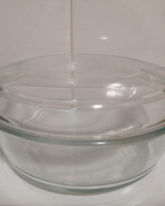 Pyrex Sovirel France pirofila con coperchio
