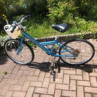 Mountain bike Specialized