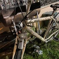 Bicicletta lombardo ortler100