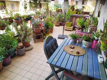 Viale Italia adiacenze