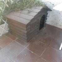 CUCCIA PER CANI