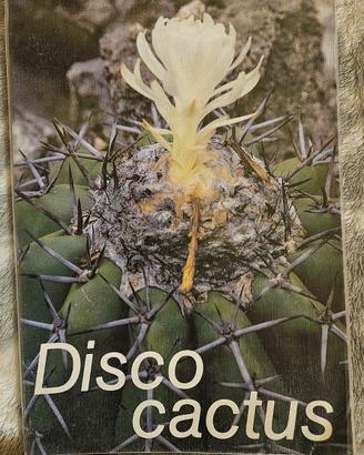 Libro The genus Discocactus