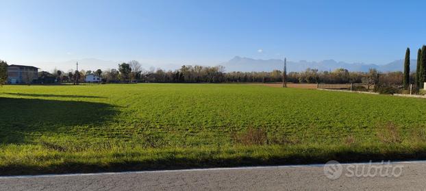 Terreno agricolo