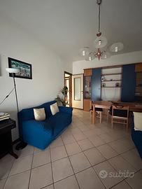 Ampio trilocale panoramico