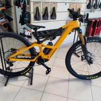 Orbea Rise M10 LT custom 2025 tg S carbon