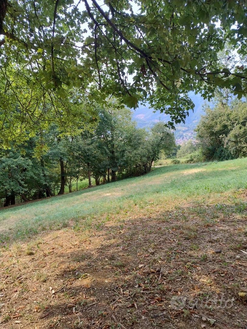 terreno agricolo - Vista 3