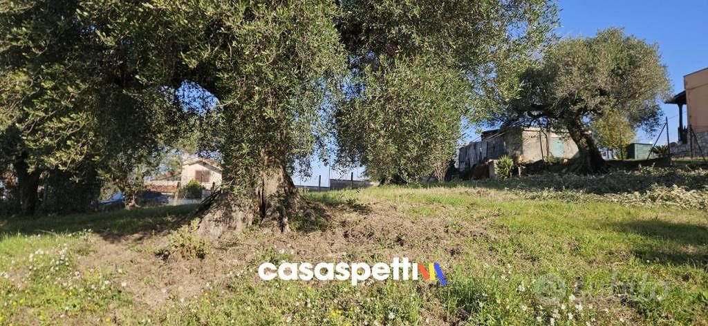 Terreno di 4500 m² a Monterotondo - Vista 3