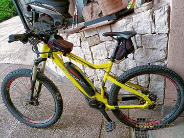 mtb e-bike