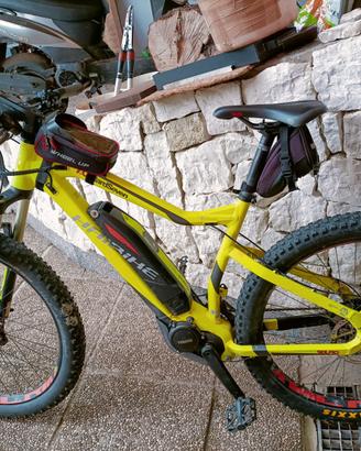 mtb e-bike