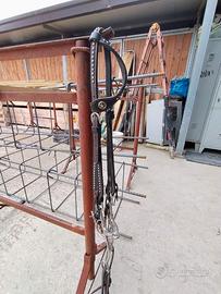 Testiera mono orecchio