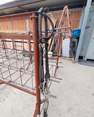 Testiera mono orecchio