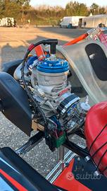 IAME IV OK  SENIOR